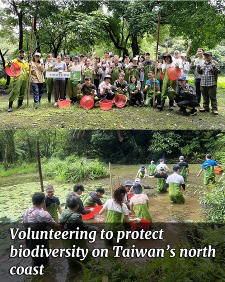 Volunteering to Protect Biodiversity on Taiwan's north coast