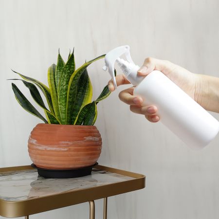 Boston Sprayer Bottle