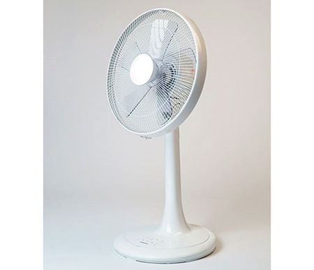 Fan