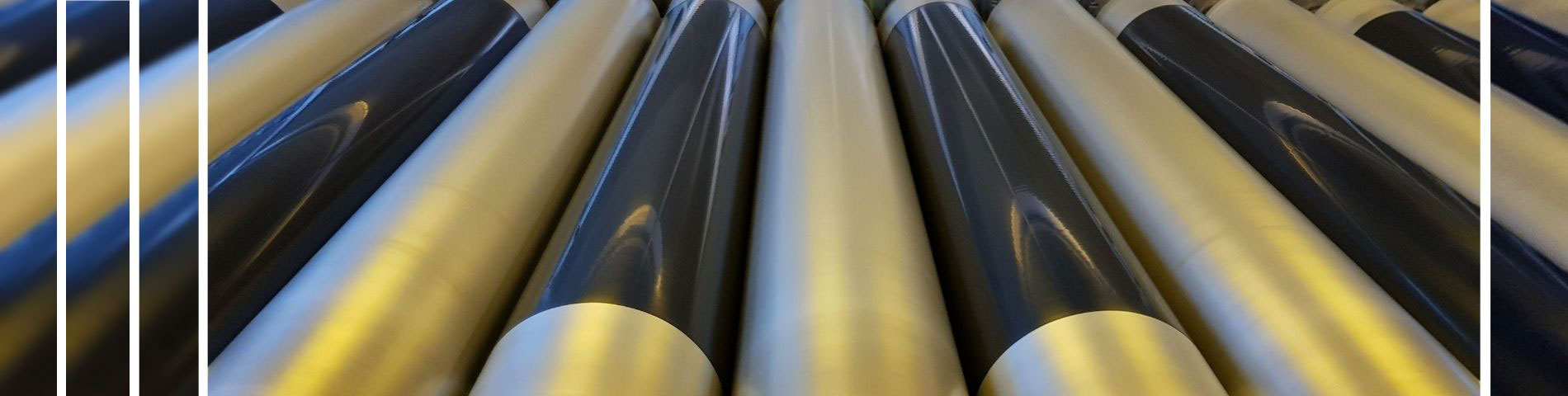 Align Latest Safety Standards