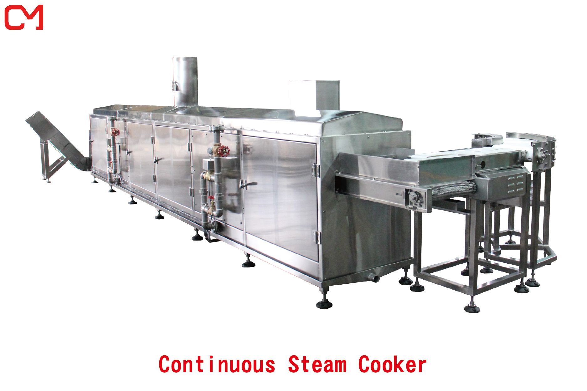 Continuous Steam Cooker
