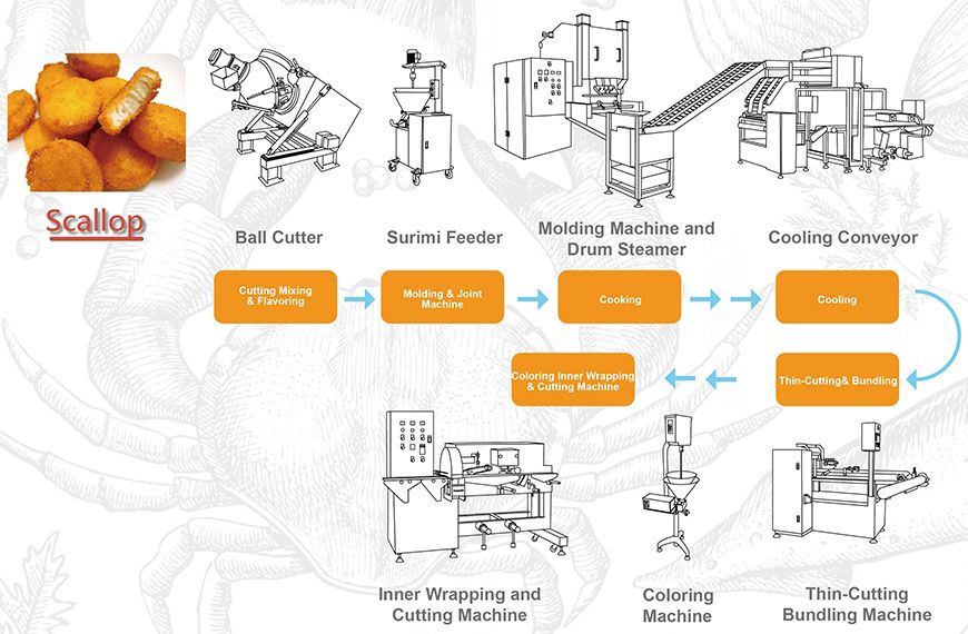 Thin-Cutting & Bundling Machine scallop food application