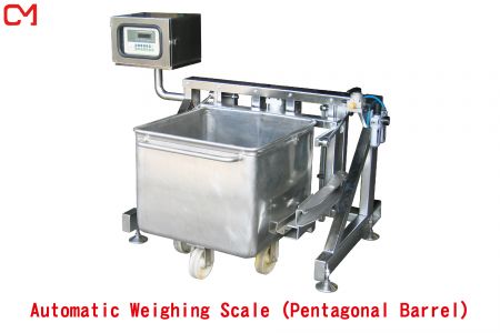 Automatic Weighing Scale - Industrial Weighing Scale, Measuring Machine ...