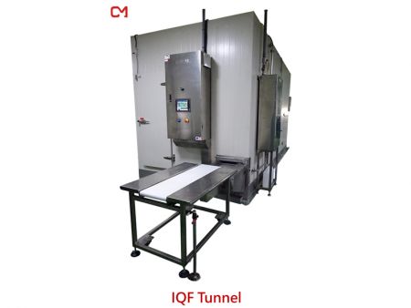 IQF - เครื่องแช่แข็งประเภทสปริง IQF