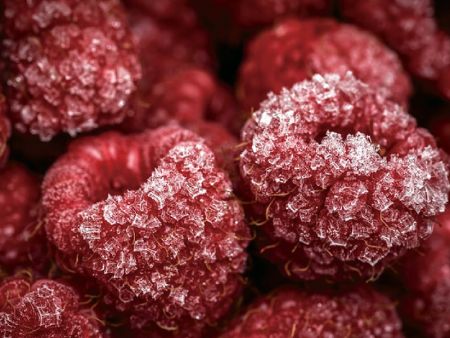 Ứng dụng của Trái cây Berry cho IQF