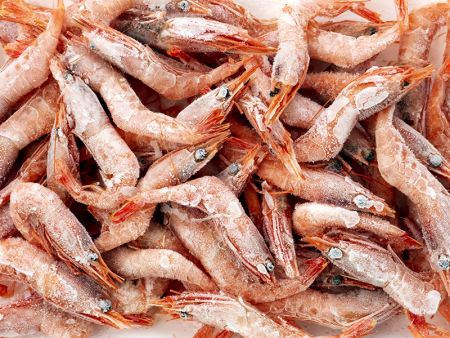 Ứng dụng của Tôm cho IQF