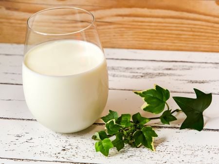 Aplikasi susu kedelai untuk Pemanggang Berterusan Sekali Guna