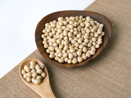 Application of soybean for Soybean Soaking Tank