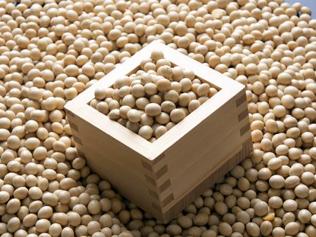 Application of soybean for Bean Soaker