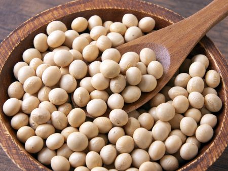 Application of soybean for Soy Dipping Machine