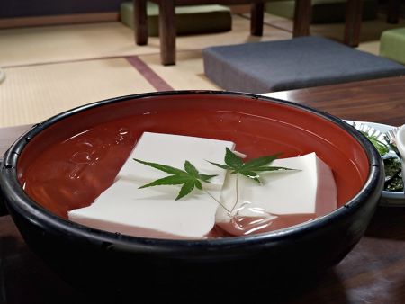 凝固装置への豆腐の応用