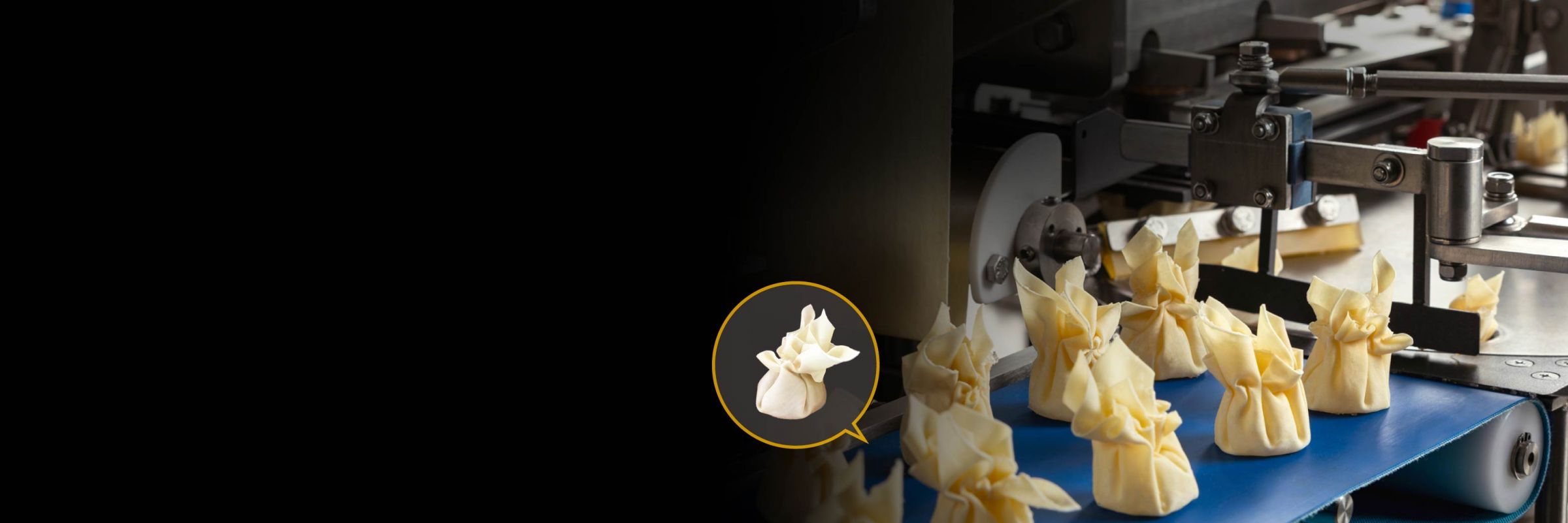 Wontonproduktion: Fra manuel til automatisering   Hvordan ANKO driver produktudvikling for en klient i Singapore