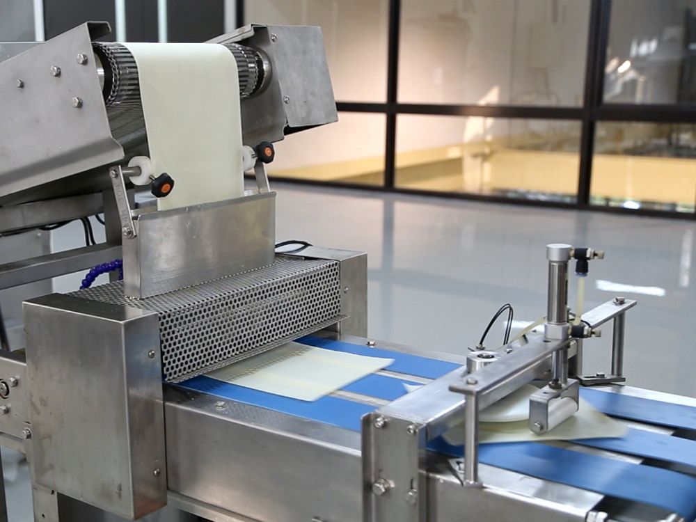 ANKO Spring Roll Production Line: Automated Solution for Vegetable ...