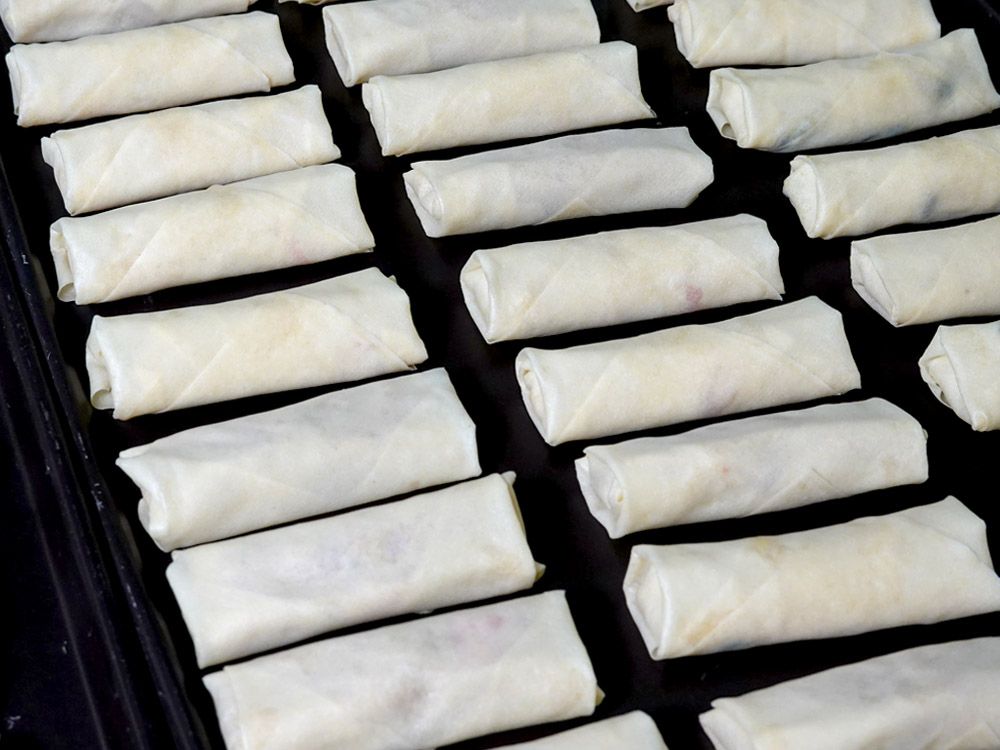 ANKO SR-27 Sweet Spring Roll Production Line: Automated Solutions for ...