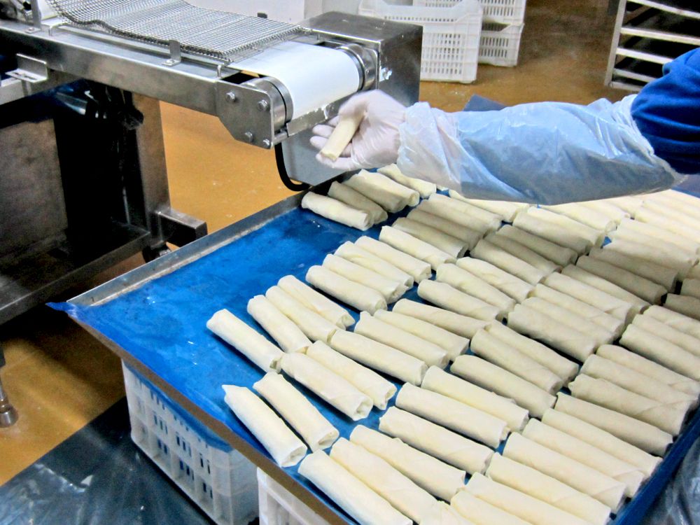 ANKO Spring Roll Production Line: Automated Solution for Vegetable ...