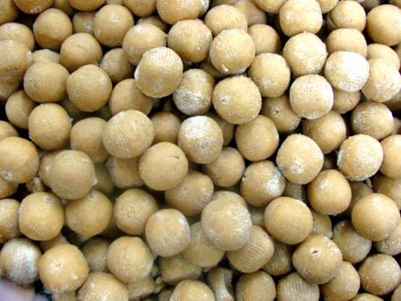 La GD-18B de ANKO puede producir productos en forma de esfera y cilindro, como Fish Boilies