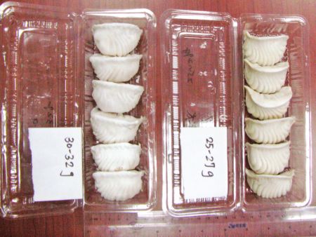 Fundamenten van Har Gow Verwerkingsontwerp