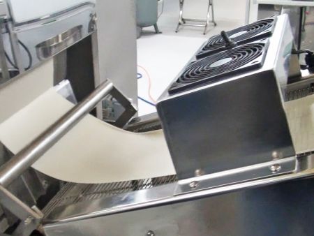 Teasú an leathán le fáinneacha.