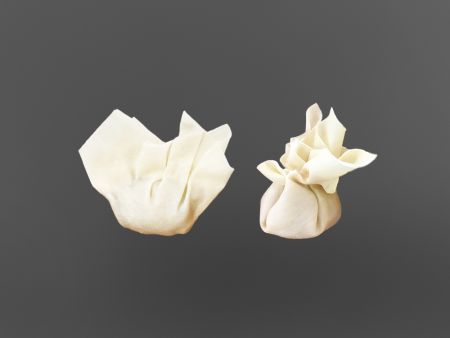 Færdige Wontons i to forskellige former