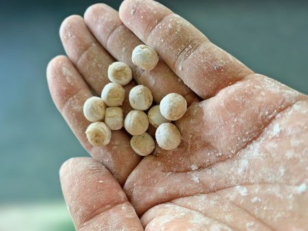 Food researchers develop the first batch of tapioca pearls