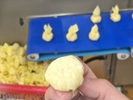 HWT-400 Automatisk Maskine der producerer Svinekød Wontons