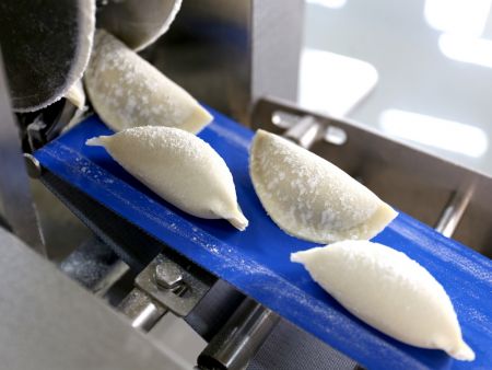 Novo design do mecanismo de modelagem para realçar a aparência artesanal do dumpling