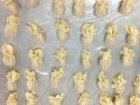 Perfectly formed Wontons