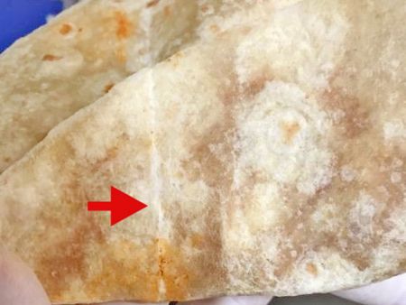 چروکهای تورتیا واضح است.