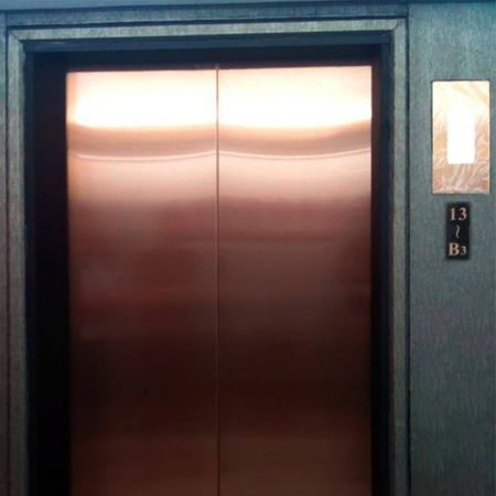 로즈 골드 방지지문 스테인레스 스틸 판을 표면 장식으로 사용한 고품질 현대적인 스타일의 엘리베이터 문