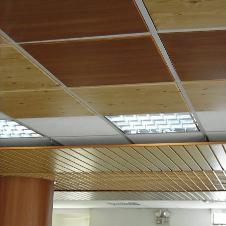 Laminiertes Stahlprodukt für Baumaterial - Decke