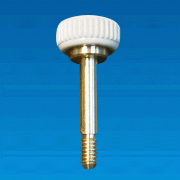 Screw - SCREW SW4-29