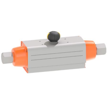 Pneumatic Actuator - Pneumatic actuator