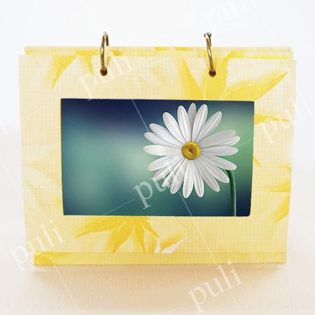 皺紋美術紙 - 細紋紙