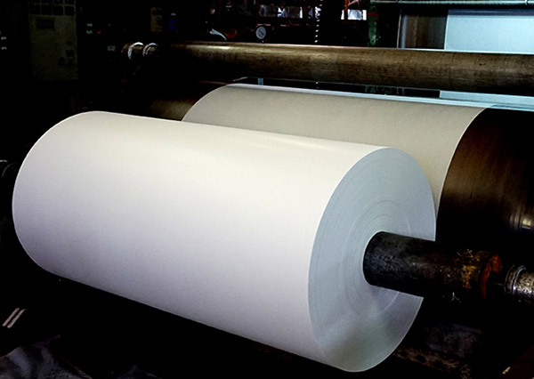 Puli Paper Fabricación Co., Ltd.