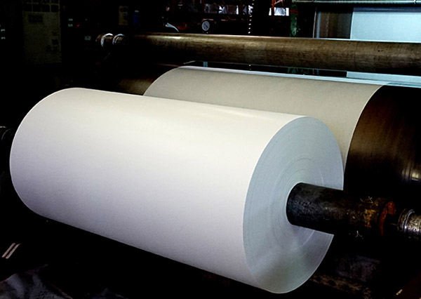 Puli Paper Производственная компания ООО