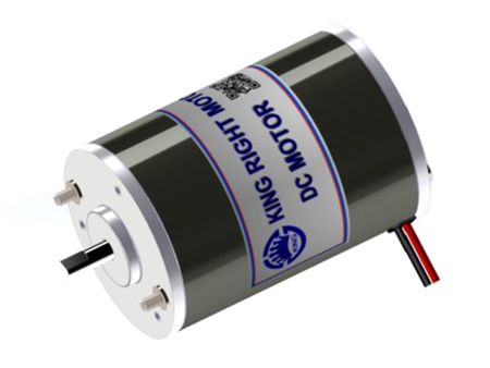 120W En İyi Dinamik Performans Fırçalı Motor 12V 24V 36V