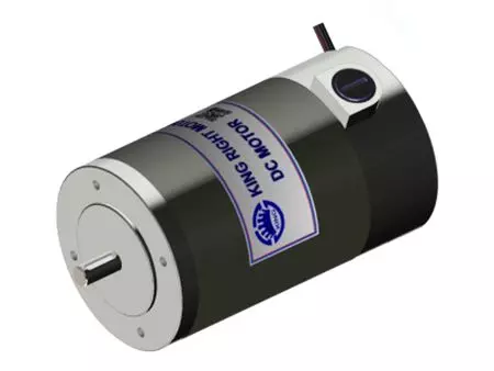 150W högeffekts DC-borstmotor med utbytbar kolborste - 150W permanent magnetisk borstmotor.