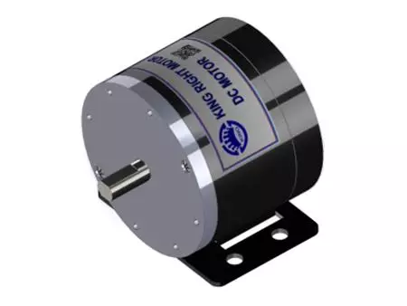 150W DC Fırça Motoru 12V 24V