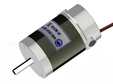 250W Hochleistungsmotor Schneckengetriebe (optional) - 250W Permanentmagnetbürstenmotor.