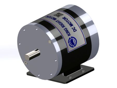 300W Scooter Borstmotor - Hållbar Scooter Borstmotor 300W.