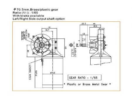 Motor de engranaje de gusano de 70W WG6551 dimensiones