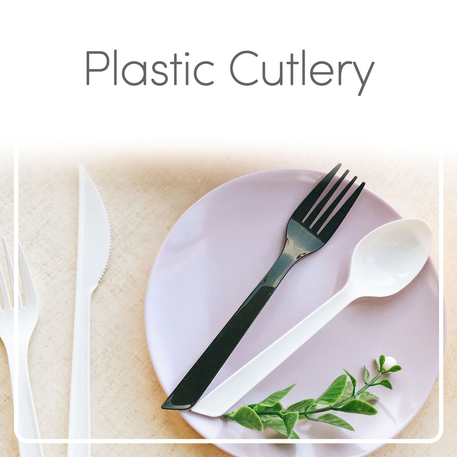 Le posate di plastica per dessert, gelato, insalata.