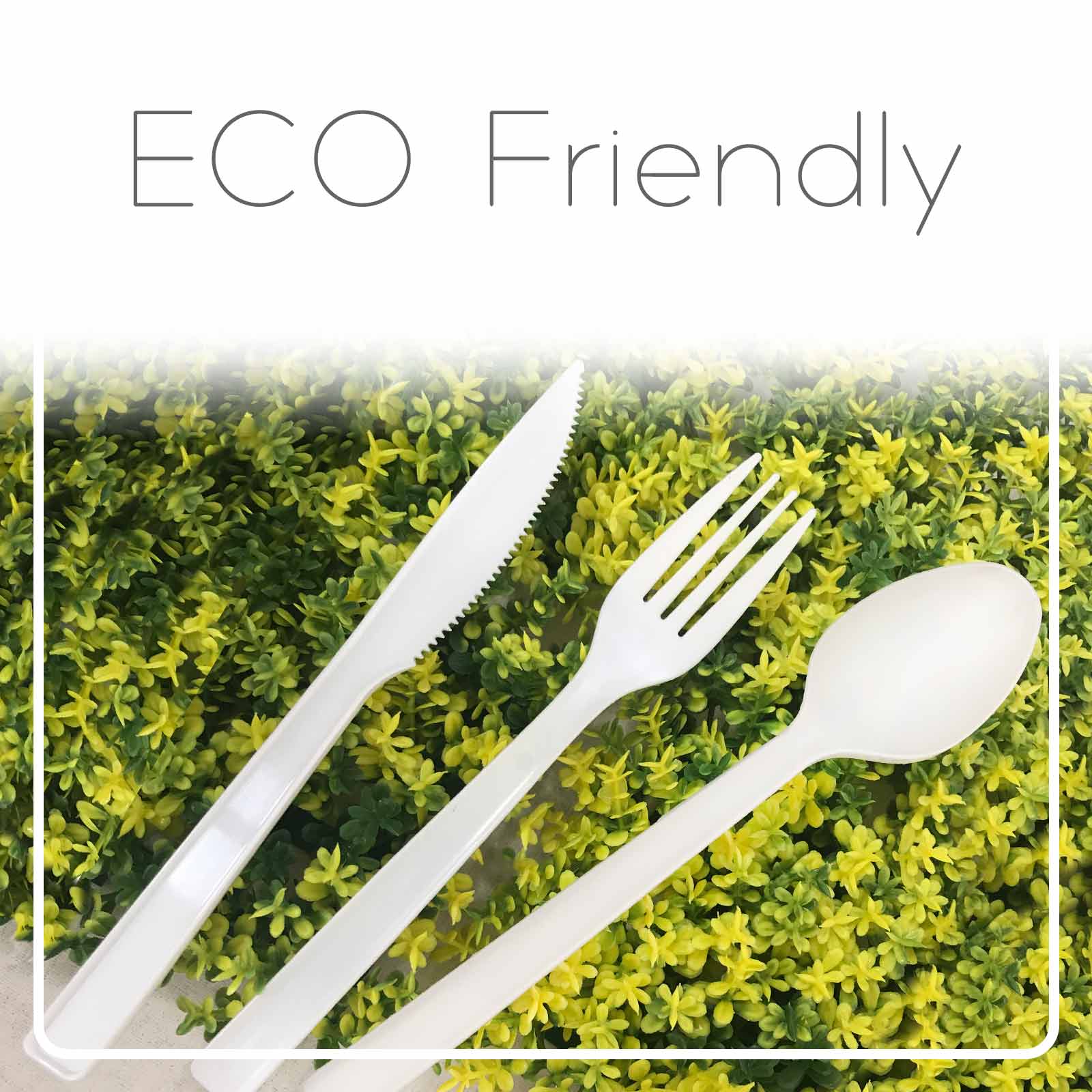 Eco friendly disposable utensil