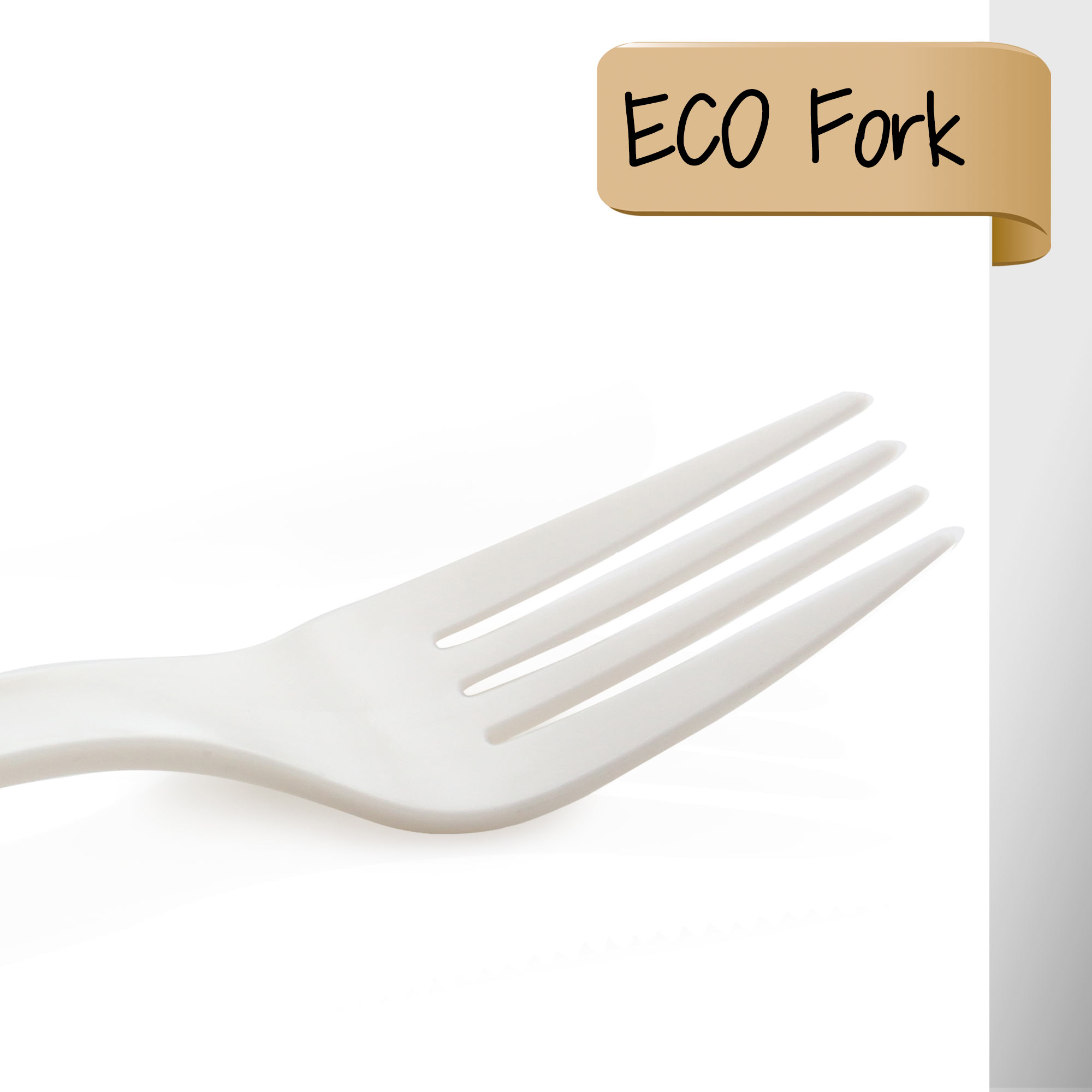 Biodegradable Fork