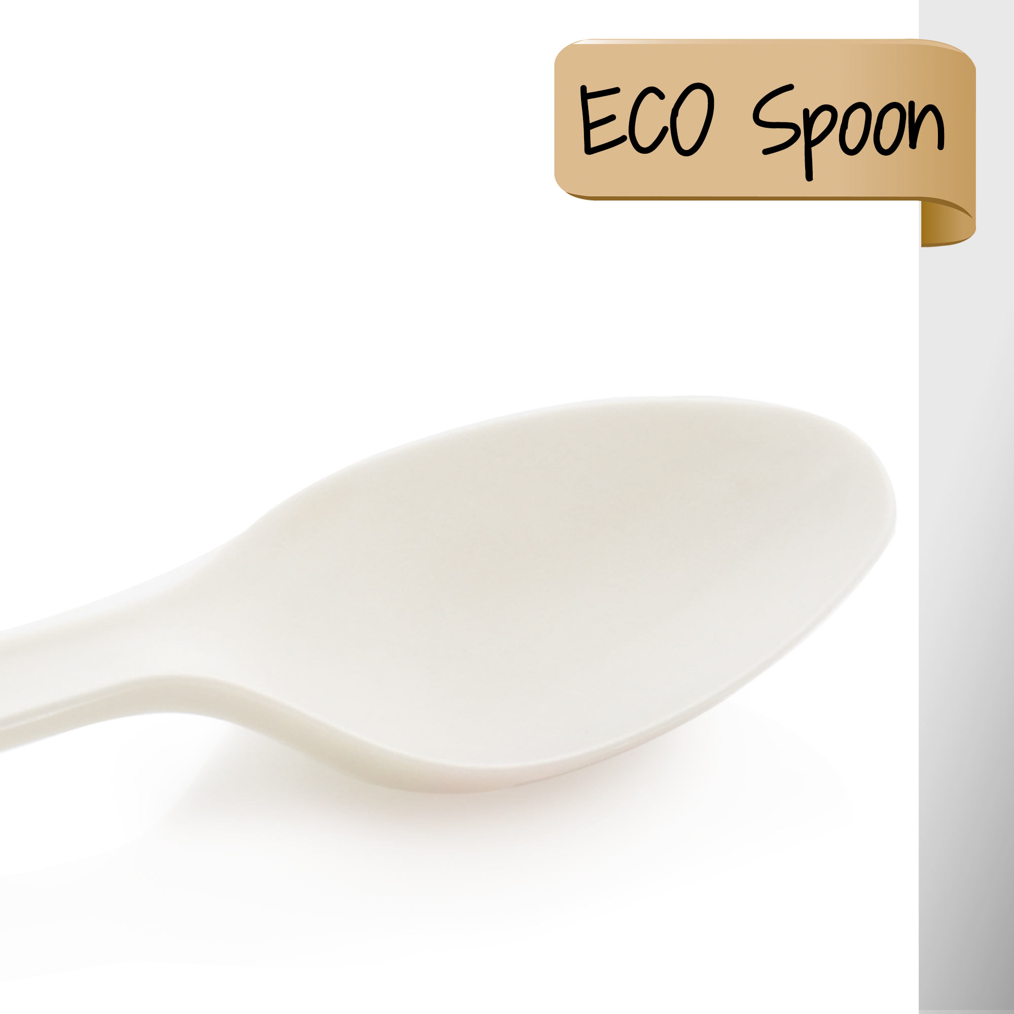 Biodegradable Spoon