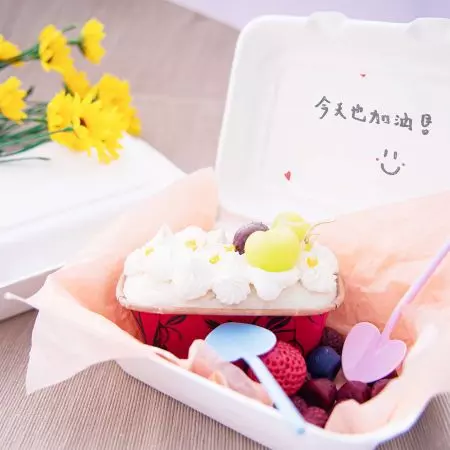 甘蔗連蓋餐盒 600ml - 環保單格沙拉連蓋餐盒