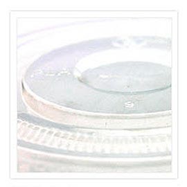 PLA Lid - Biodegradable Lid