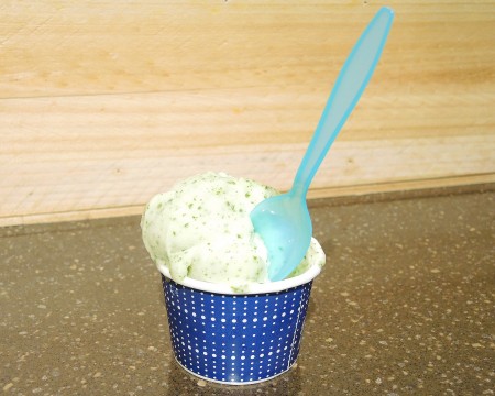 12公分湯匙搭配冰淇淋