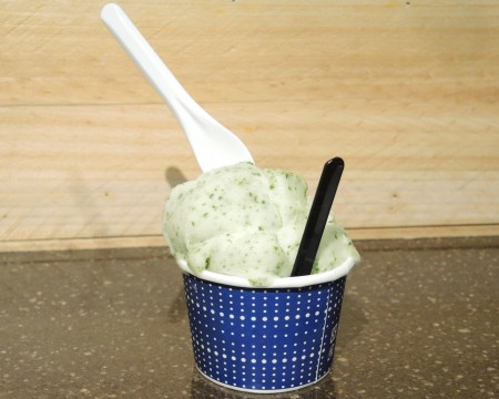 Cucchiaio da 9,5 cm per gelato