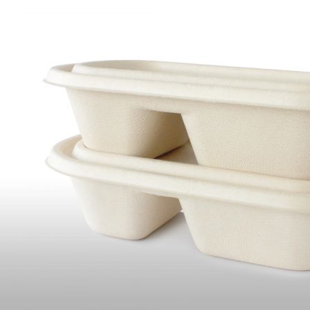 Sugarcane Container - Bagasse Food Container